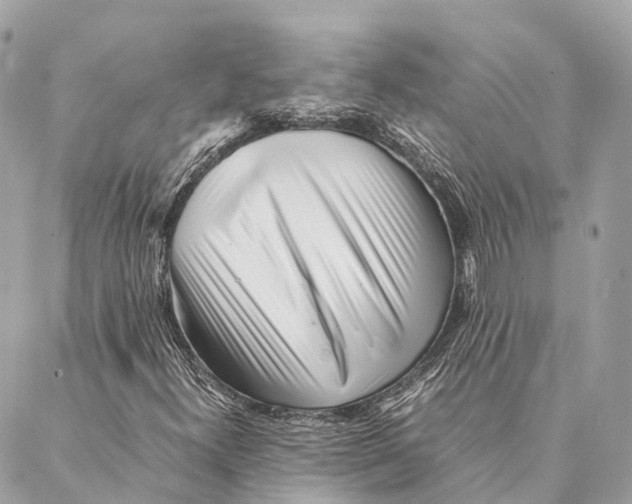 X0000087391300200705111750