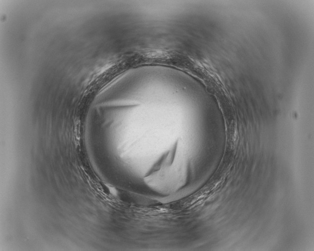 X0000087391301200705111750