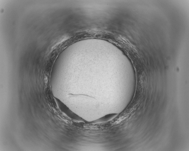 X0000087391302200705111750