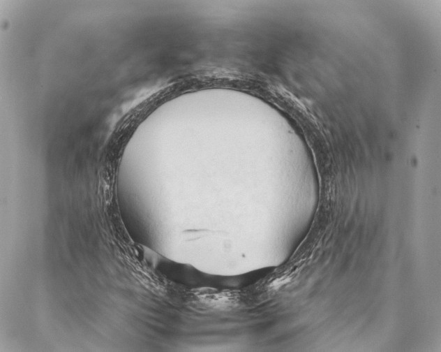 X0000087391303200705111750