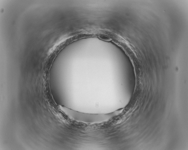 X0000087391304200705111750