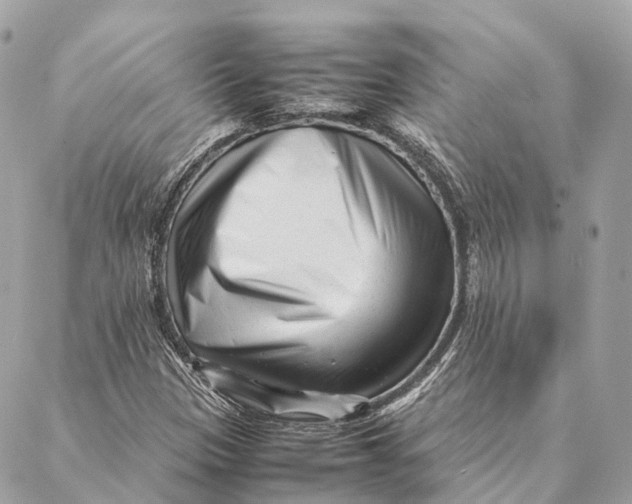 X0000087391305200705111750