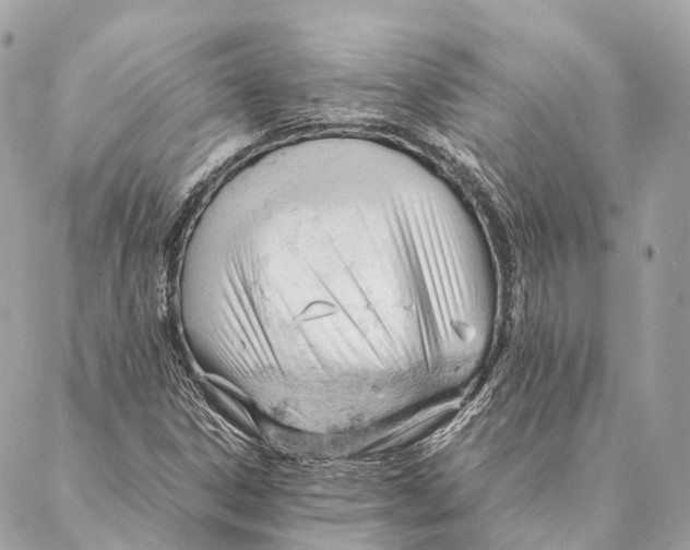 X0000087391306200705111750