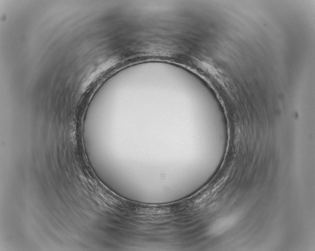 X0000087391307200705111750