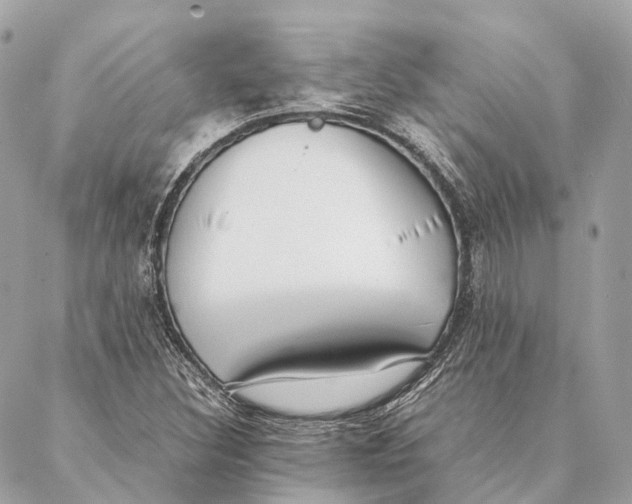 X0000087391308200705111750