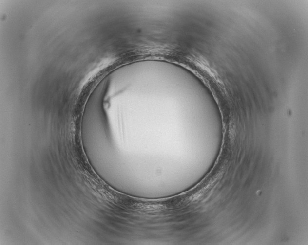 X0000087391309200705111750