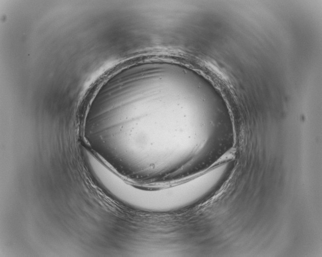 X0000087391310200705111750