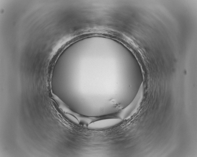 X0000087391312200705111750