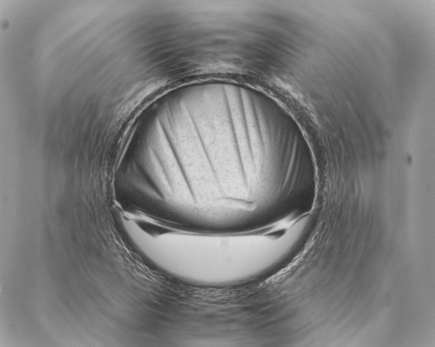 X0000087391313200705111750