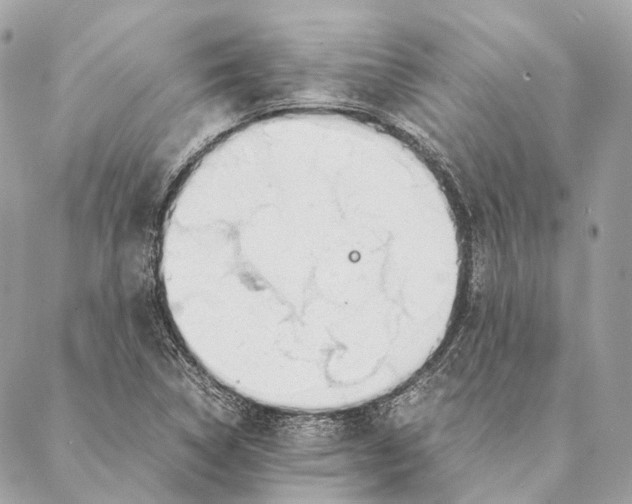 X0000087391314200705111751