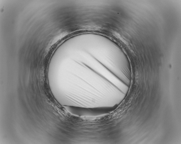 X0000087391315200705111751