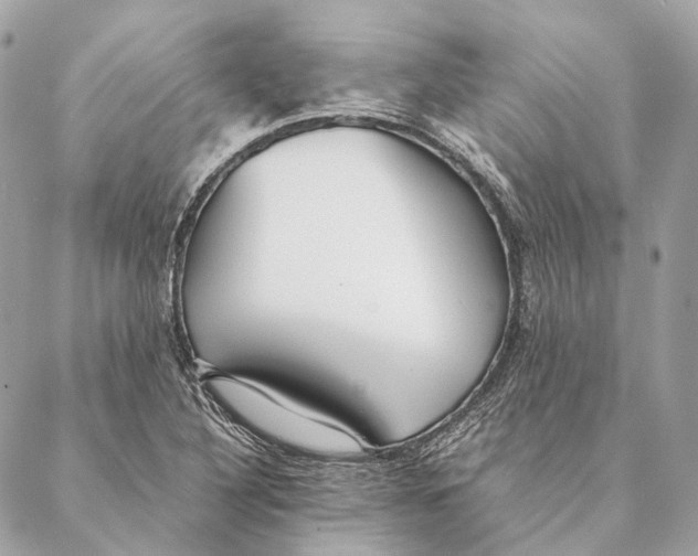 X0000087391316200705111751