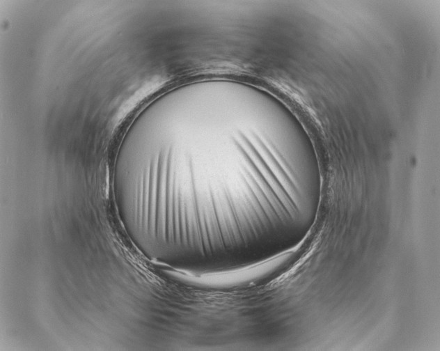 X0000087391317200705111751