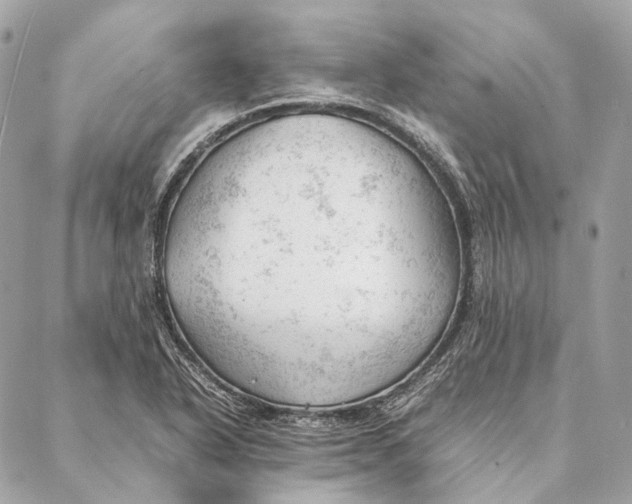 X0000087391318200705111751