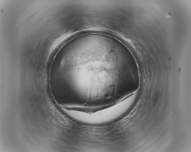 X0000087391319200705111751