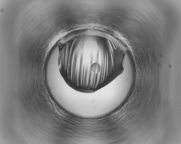 X0000087391320200705111751