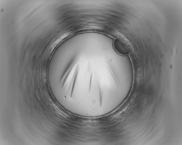 X0000087391321200705111751