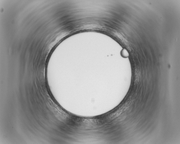 X0000087391322200705111751