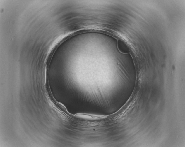 X0000087391323200705111751