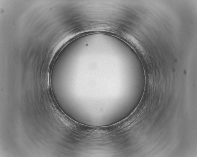 X0000087391324200705111751