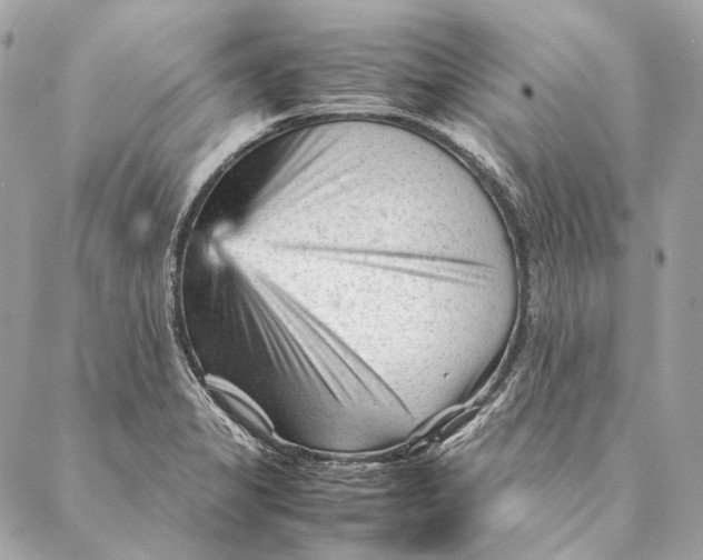 X0000087391325200705111751