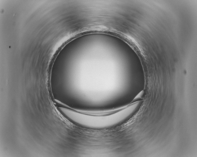 X0000087391326200705111751