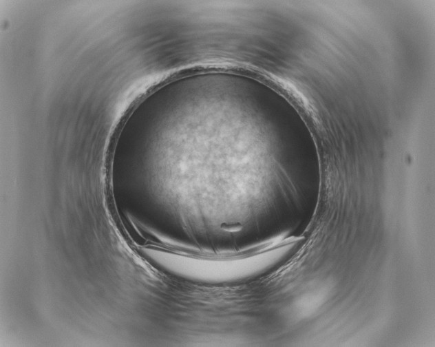 X0000087391327200705111751