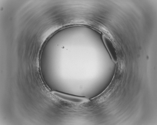 X0000087391328200705111751