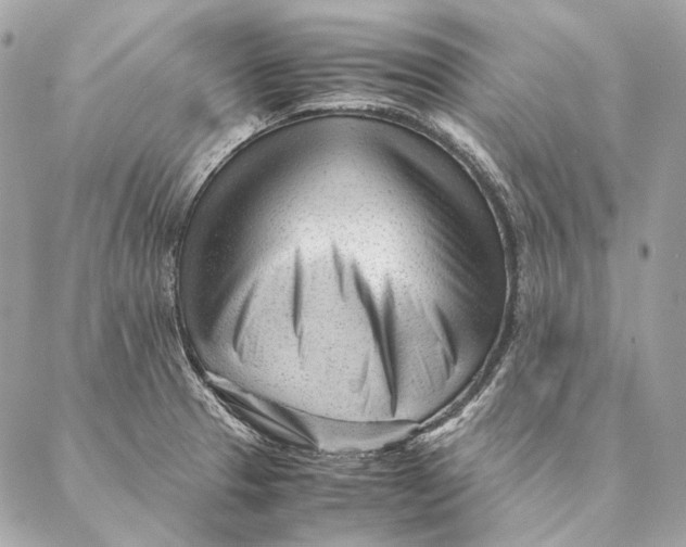 X0000087391329200705111751