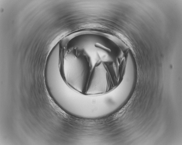 X0000087391330200705111751