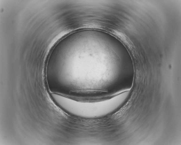 X0000087391331200705111751