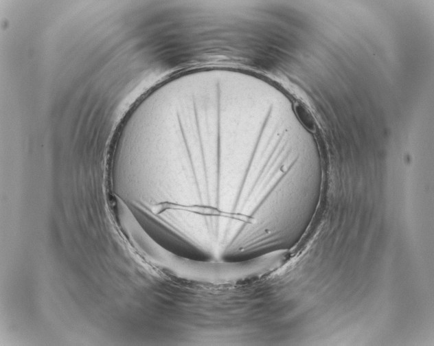 X0000087391333200705111751