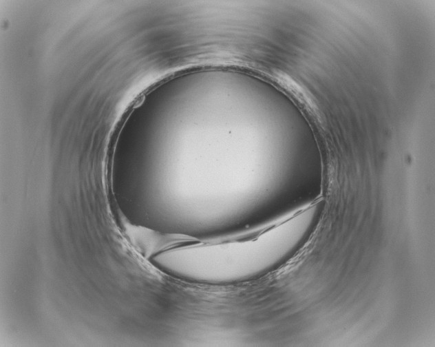 X0000087391334200705111751