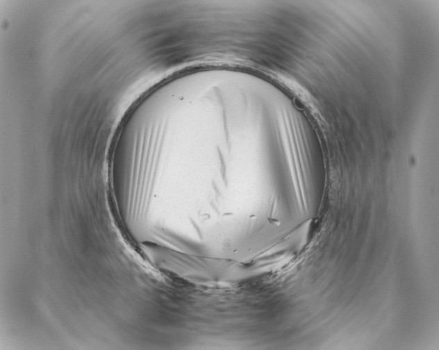 X0000087391335200705111751