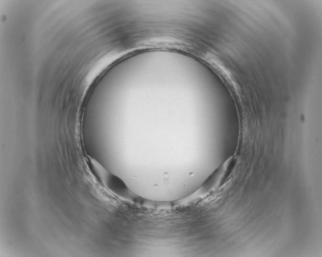 X0000087391336200705111751