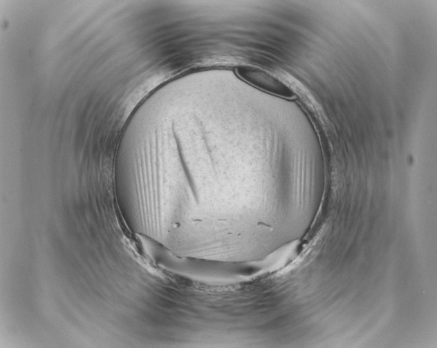 X0000087391337200705111751