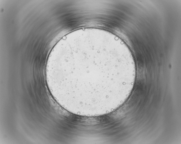 X0000087391338200705111751