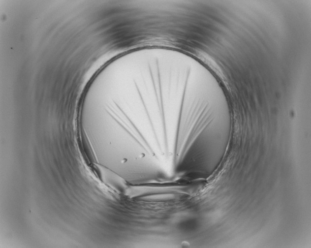 X0000087391339200705111751