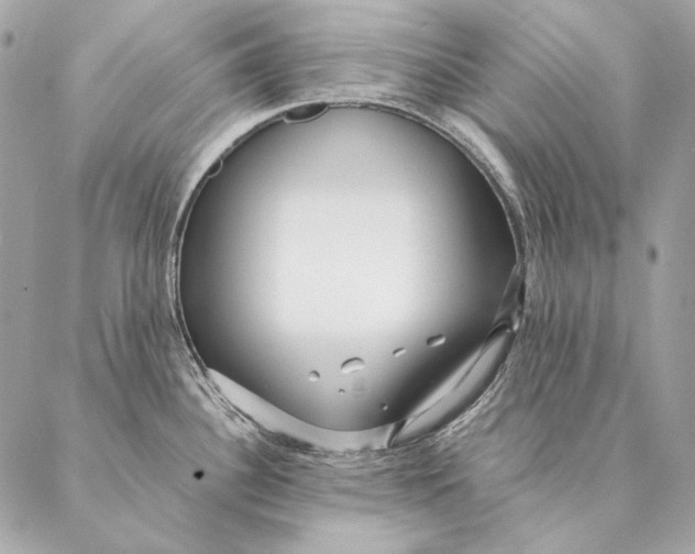 X0000087391340200705111751