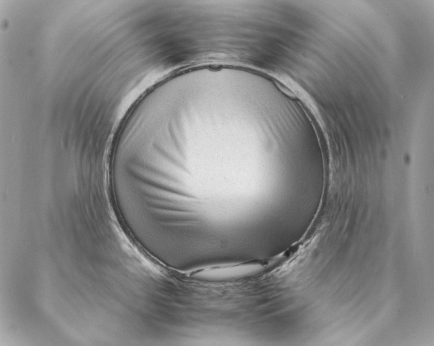 X0000087391341200705111751