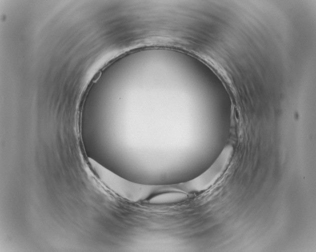 X0000087391342200705111751