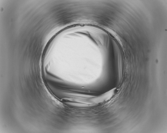 X0000087391343200705111751