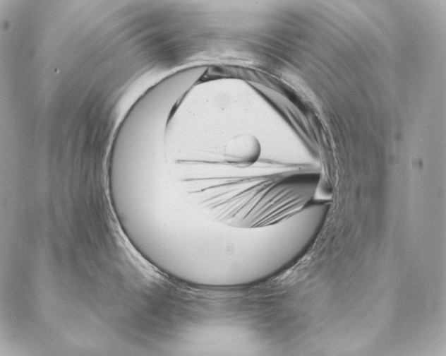 X0000087391344200705111751