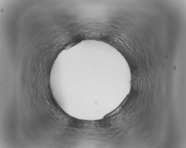 X0000087391345200705111750