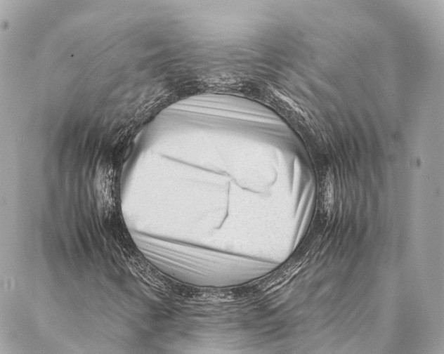 X0000087391346200705111750