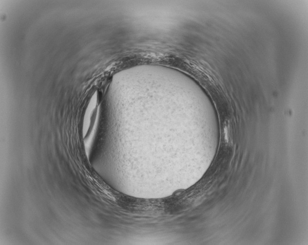 X0000087391347200705111750