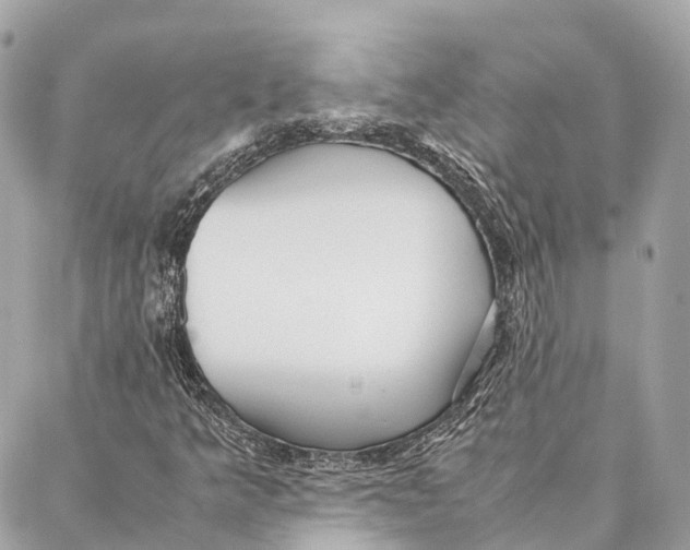 X0000087391349200705111750