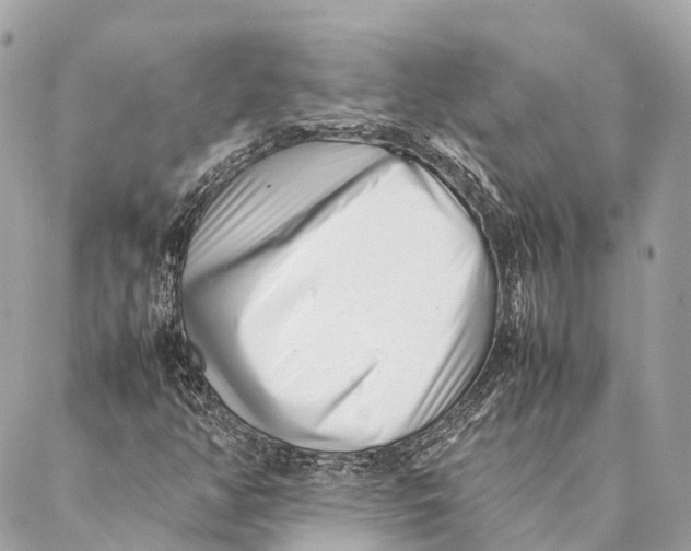 X0000087391350200705111750