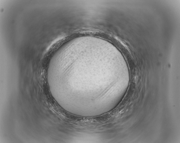 X0000087391351200705111750