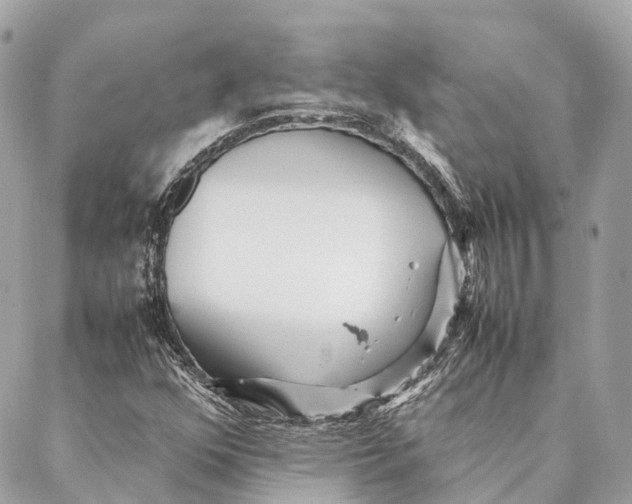 X0000087391352200705111750